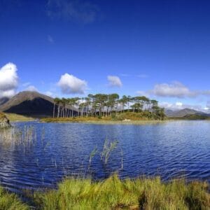 Ireland at a Glance o.b.v. B&B's