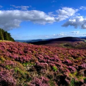 Wandelen langs de Wicklow Way