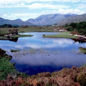 Autorondreis De Westkust Van Ierland - Keuzedeal