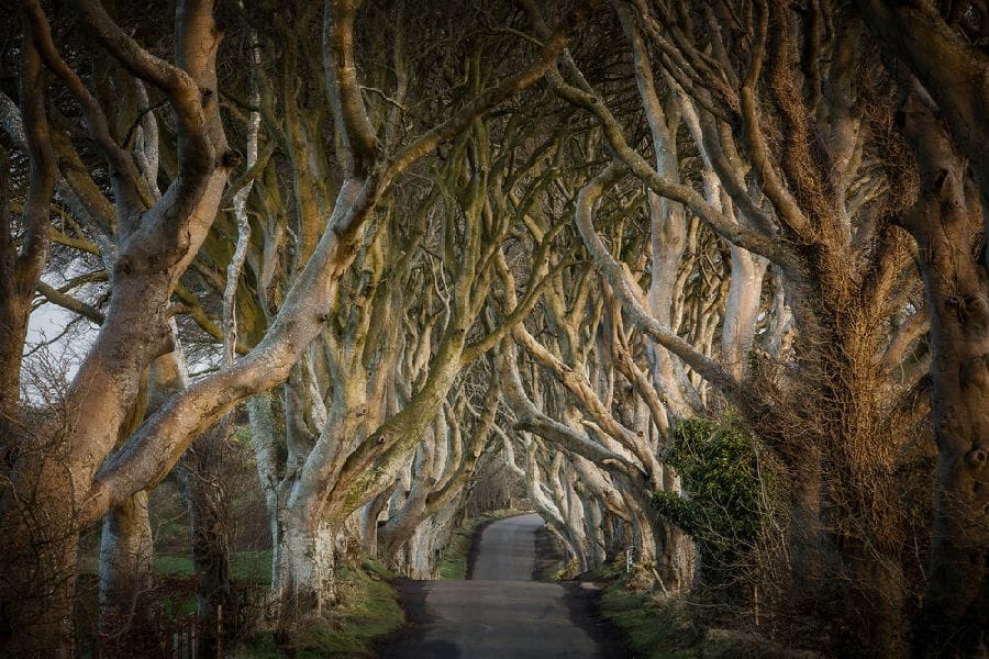 Autorondreis Game Of Thrones Noord-Ierland - Afwisselend verblijf