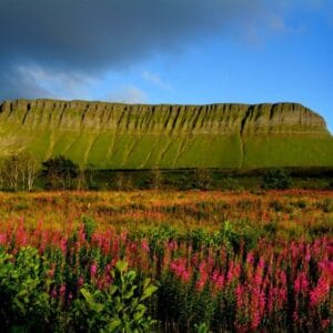 Autorondreis Ontdek Ierland - Keuzedeal