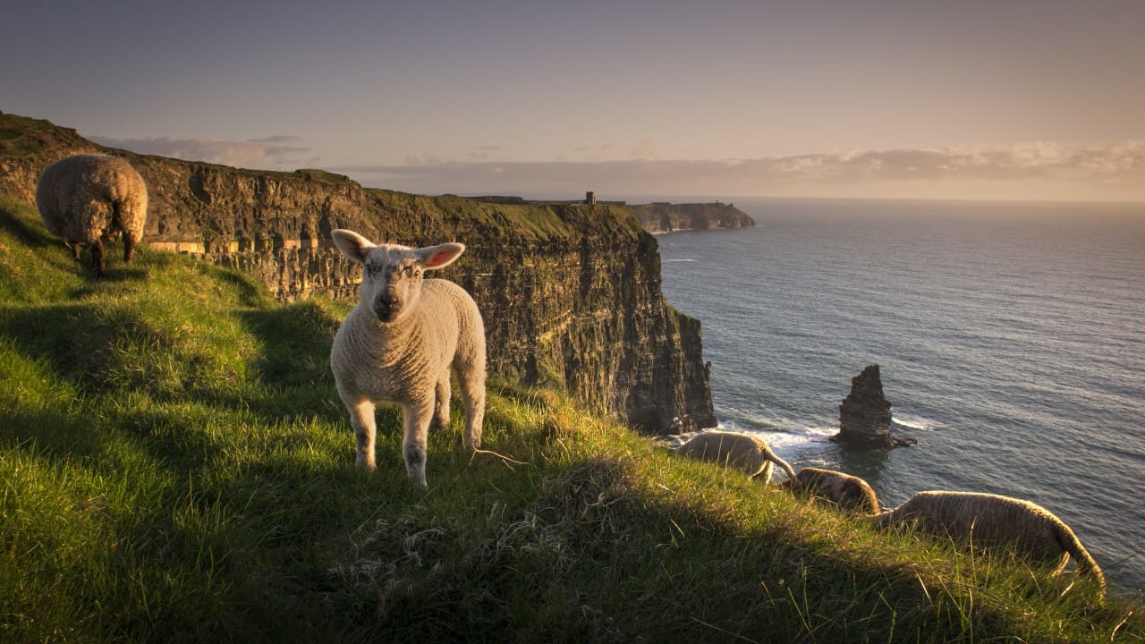 Vlieg-rondreis Wild Atlantic Way & Noord-Ierland